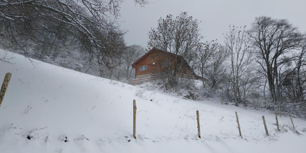 Vila L Ame Et Son Du Coeur Dorenaz Exteriér fotografie